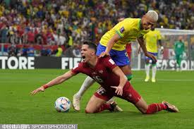 动在中国的 动在中国的