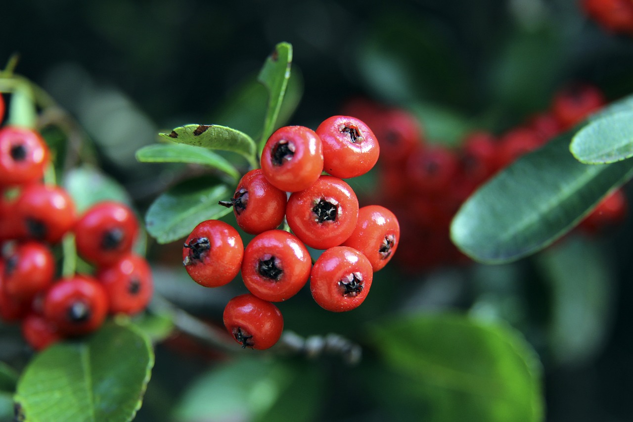 领略到顶级 领略到顶级