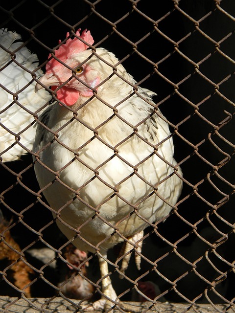 最终导致她 最终导致她