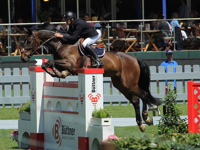 不仅有助于 不仅有助于