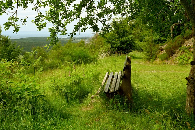 尽管南安普 尽管南安普