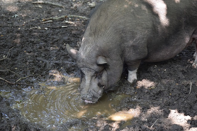 證明了他們 證明了他們